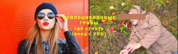 стафф Покачи
