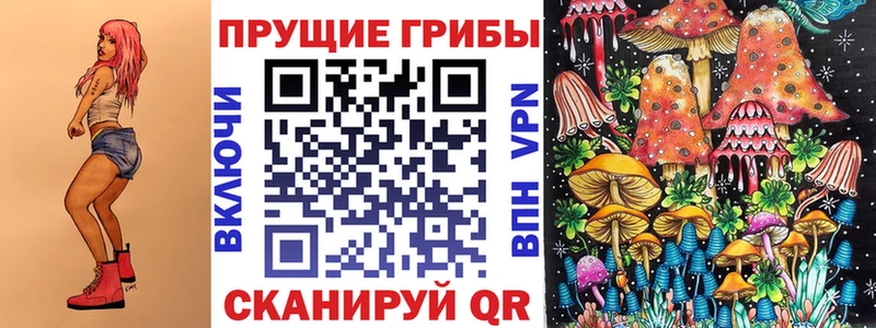 кракен как зайти  Заводоуковск  Галлюциногенные грибы мухоморы 